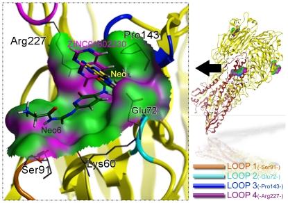 https://cdn.ncbi.nlm.nih.gov/pmc/blobs/d9cb/3227604/b438661667b4/pone.0028111.g001.jpg