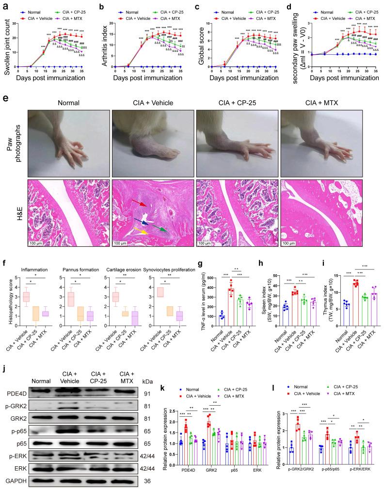https://cdn.ncbi.nlm.nih.gov/pmc/blobs/d9cc/11844291/6030fffcdd01/ijbsv21p1513g006.jpg