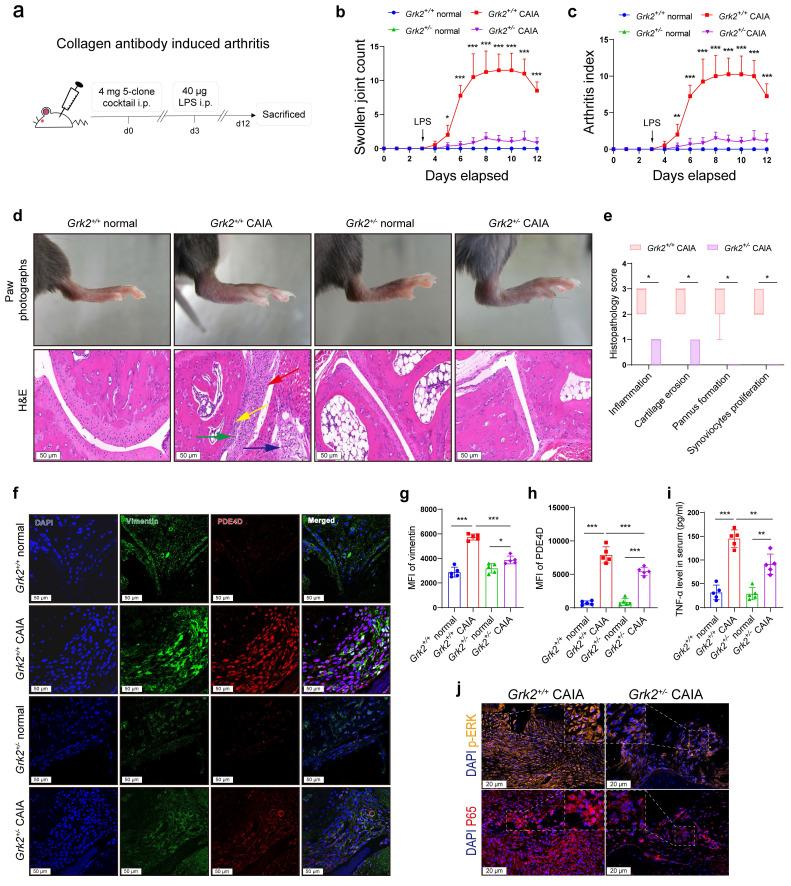 https://cdn.ncbi.nlm.nih.gov/pmc/blobs/d9cc/11844291/d81aebee5266/ijbsv21p1513g005.jpg