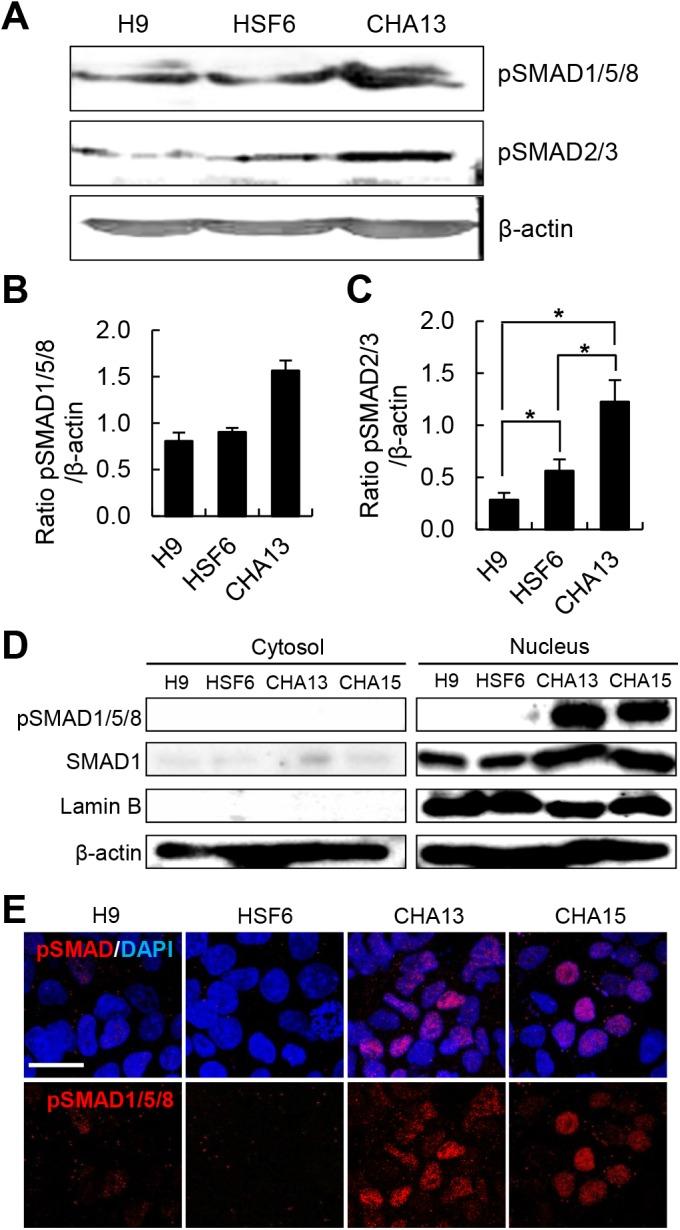 https://cdn.ncbi.nlm.nih.gov/pmc/blobs/d9cc/4575120/1738cdad8720/pone.0138460.g002.jpg