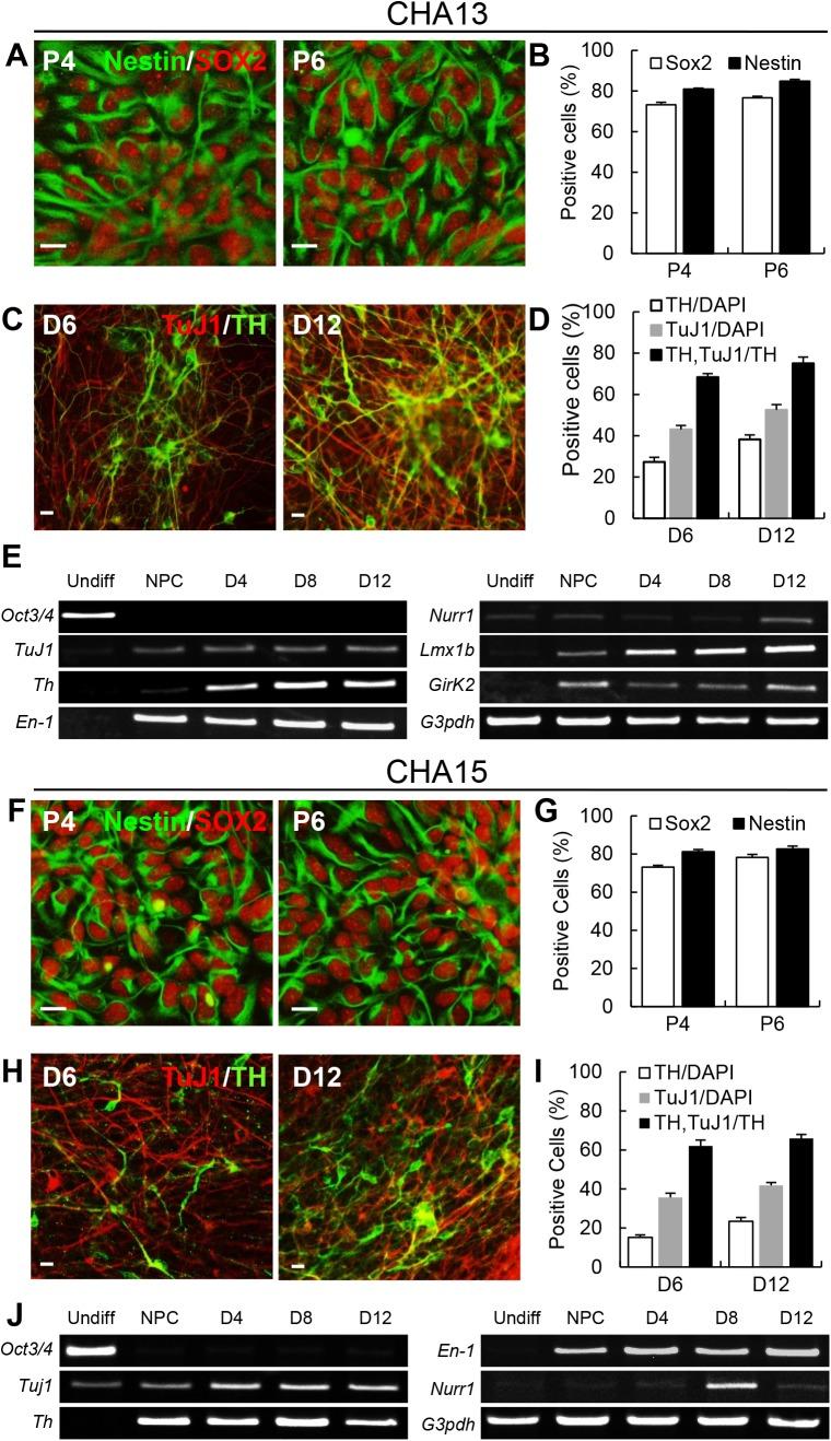 https://cdn.ncbi.nlm.nih.gov/pmc/blobs/d9cc/4575120/698097105dc5/pone.0138460.g005.jpg