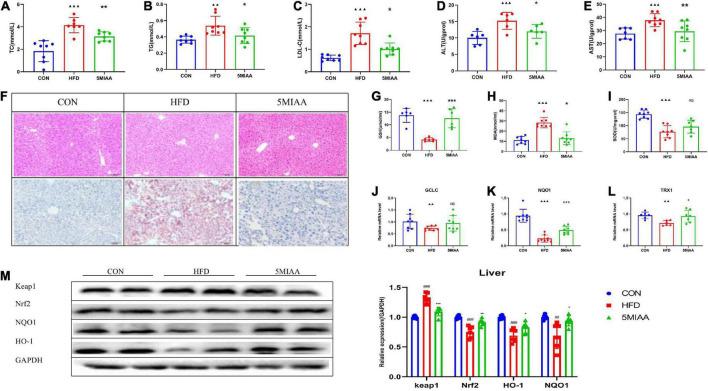 https://cdn.ncbi.nlm.nih.gov/pmc/blobs/d9cc/9533869/5c52ec55f68c/fmicb-13-984019-g003.jpg