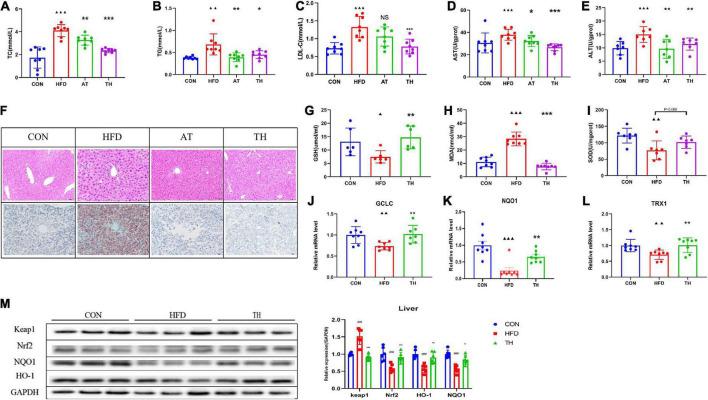 https://cdn.ncbi.nlm.nih.gov/pmc/blobs/d9cc/9533869/9a9cb4d6dcf4/fmicb-13-984019-g006.jpg