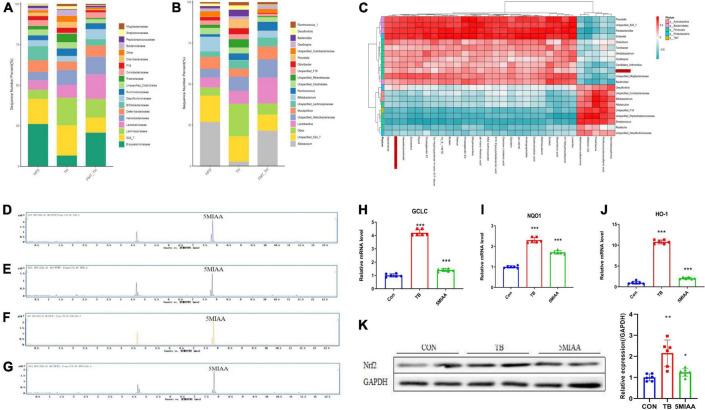 https://cdn.ncbi.nlm.nih.gov/pmc/blobs/d9cc/9533869/a29bc56de963/fmicb-13-984019-g005.jpg