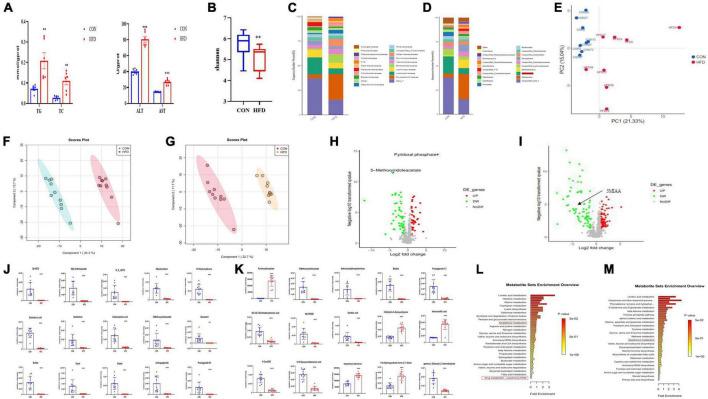 https://cdn.ncbi.nlm.nih.gov/pmc/blobs/d9cc/9533869/a970faab4819/fmicb-13-984019-g001.jpg