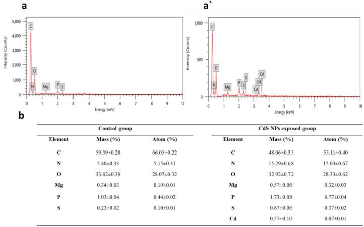 https://cdn.ncbi.nlm.nih.gov/pmc/blobs/d9cd/11401898/62c6ef183124/41598_2024_70060_Fig3_HTML.jpg
