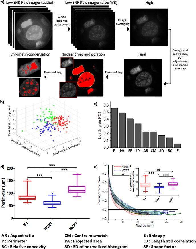 https://cdn.ncbi.nlm.nih.gov/pmc/blobs/d9ce/6636717/114857995465/pone.0218757.g003.jpg