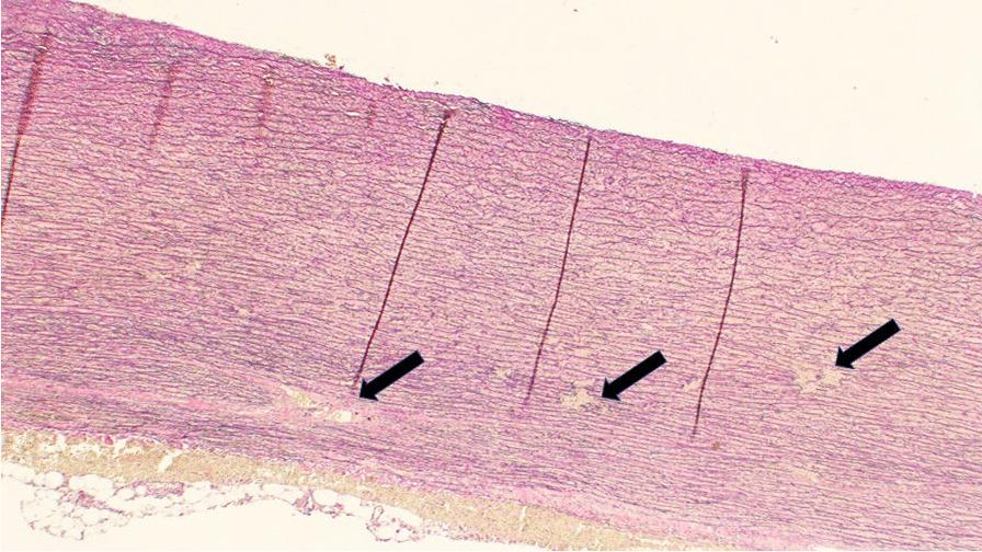 https://cdn.ncbi.nlm.nih.gov/pmc/blobs/d9ce/9077810/dddc571a3ce9/13019_2022_1864_Fig1_HTML.jpg