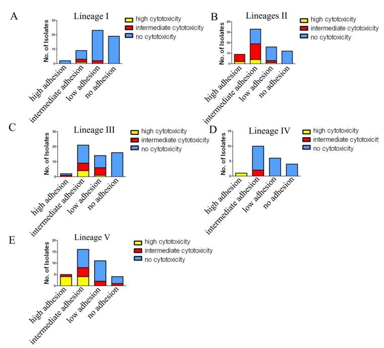 https://cdn.ncbi.nlm.nih.gov/pmc/blobs/d9d1/7157202/ec0150ac5b36/pathogens-09-00195-g007.jpg