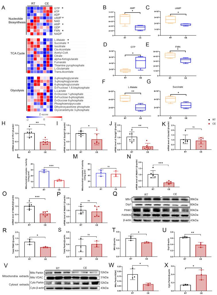 https://cdn.ncbi.nlm.nih.gov/pmc/blobs/d9d2/11011669/8f127c04360b/cells-13-00570-g005.jpg