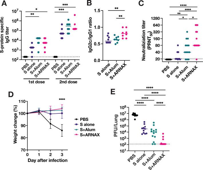 https://cdn.ncbi.nlm.nih.gov/pmc/blobs/d9d2/12090777/26620da75b49/jvi.02290-24.f005.jpg