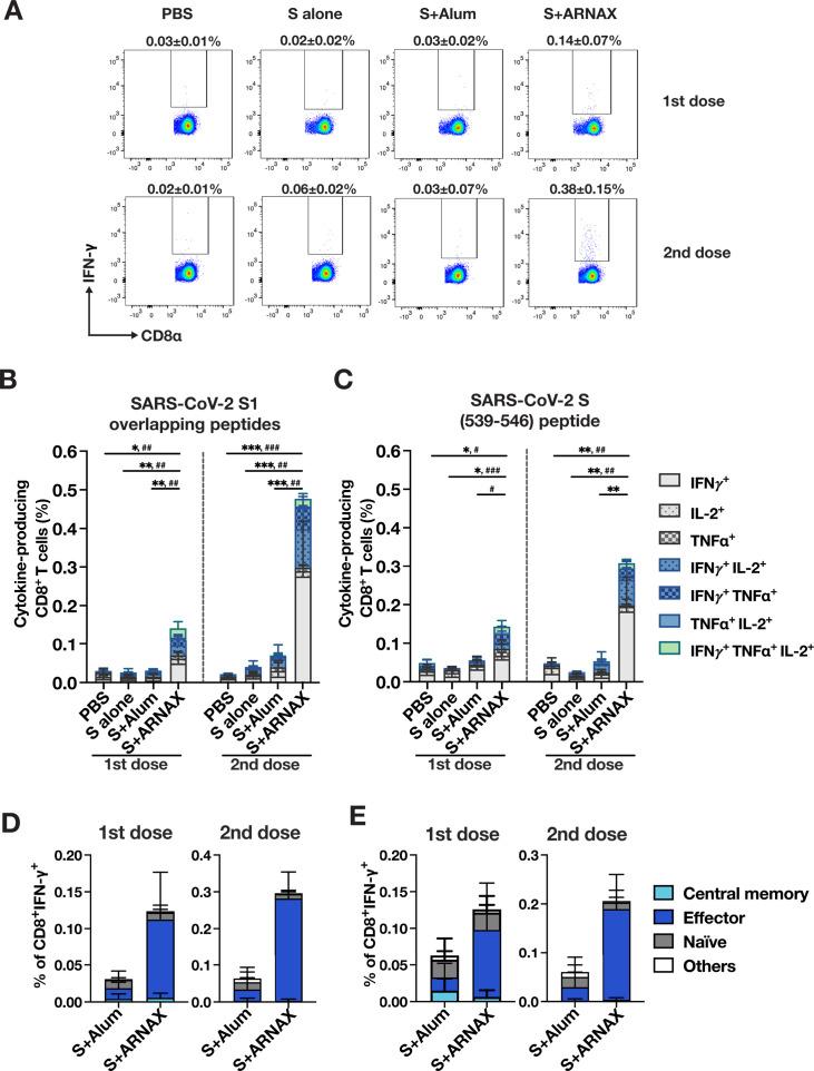 https://cdn.ncbi.nlm.nih.gov/pmc/blobs/d9d2/12090777/323864c74b3b/jvi.02290-24.f003.jpg