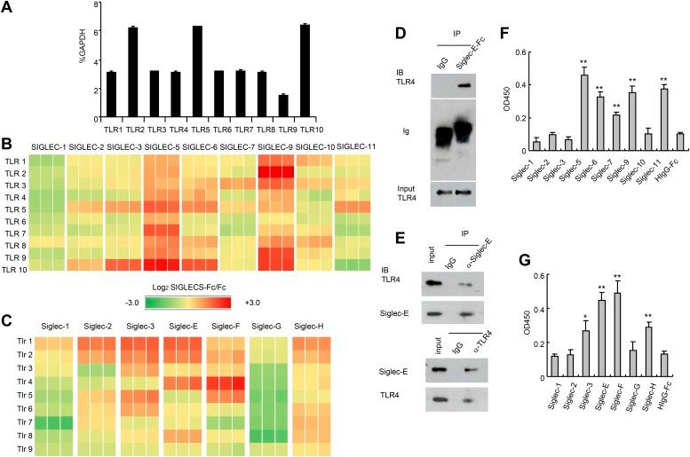 https://cdn.ncbi.nlm.nih.gov/pmc/blobs/d9d2/4168287/6085102bd956/elife04066f001.jpg