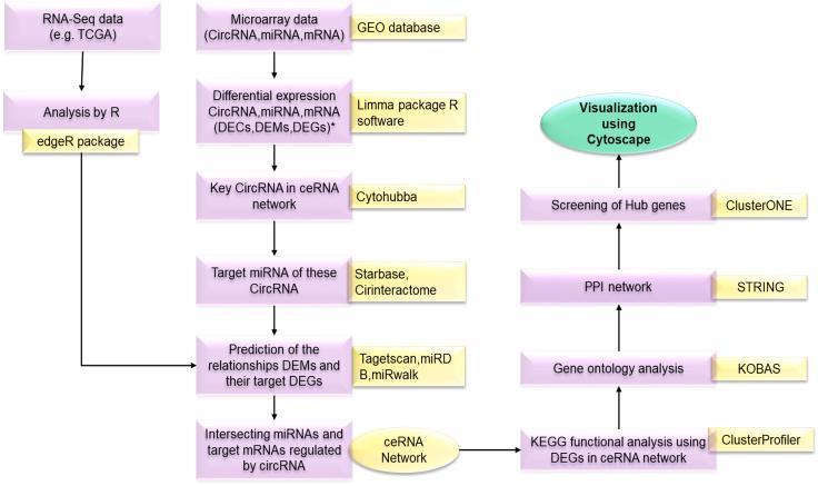 https://cdn.ncbi.nlm.nih.gov/pmc/blobs/d9d2/8609106/278b0ab0533f/gr4.jpg