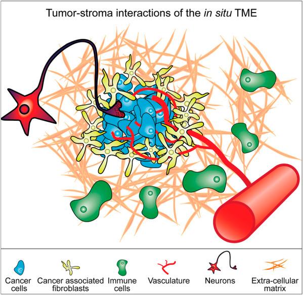 https://cdn.ncbi.nlm.nih.gov/pmc/blobs/d9d3/10119418/c3a55f13bd88/fbioe-11-1150764-g001.jpg