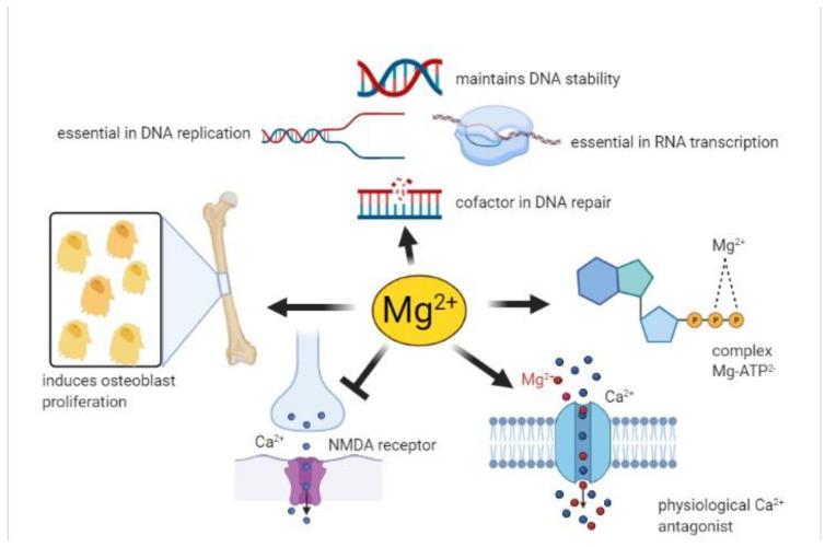 https://cdn.ncbi.nlm.nih.gov/pmc/blobs/d9d7/8065437/3527bf053f84/nutrients-13-01136-g001.jpg