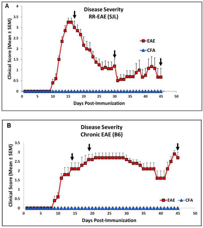https://cdn.ncbi.nlm.nih.gov/pmc/blobs/d9d8/11989419/440a3638fc81/ijms-26-03258-g001.jpg
