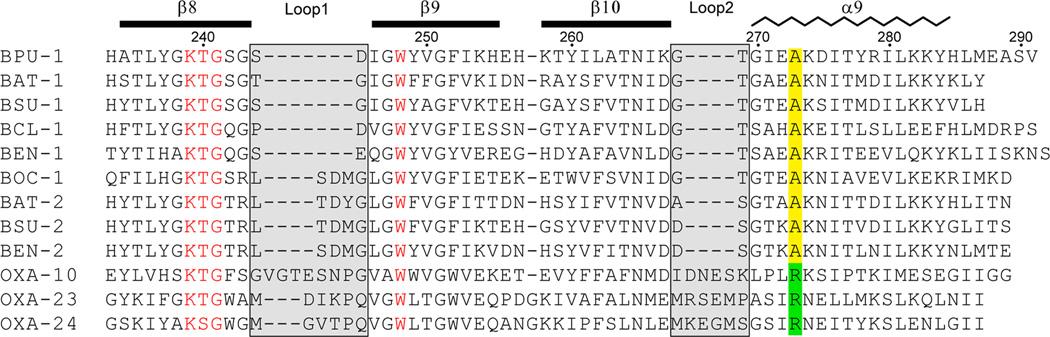 https://cdn.ncbi.nlm.nih.gov/pmc/blobs/d9d9/4684797/0b8efb7b1a89/nihms725449f2.jpg