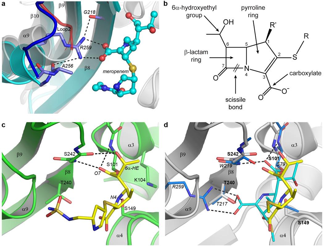 https://cdn.ncbi.nlm.nih.gov/pmc/blobs/d9d9/4684797/9ca3b0f828eb/nihms725449f3.jpg