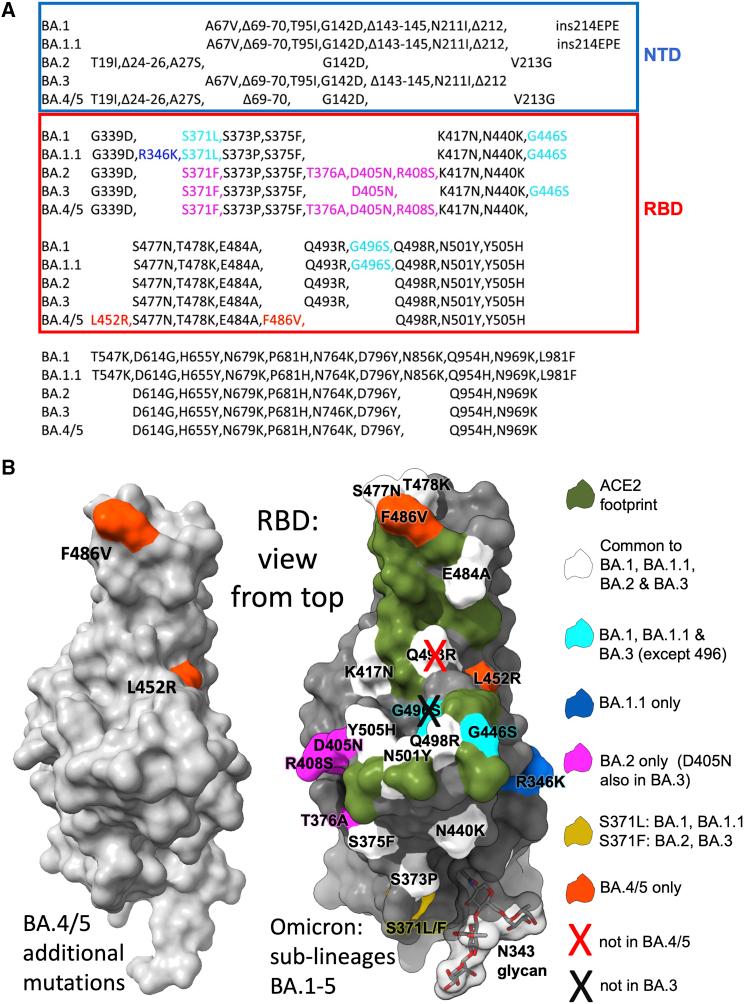 https://cdn.ncbi.nlm.nih.gov/pmc/blobs/d9da/9608062/025c27369d9e/gr1.jpg