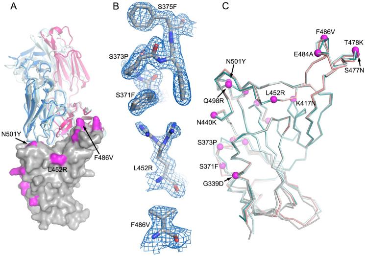 https://cdn.ncbi.nlm.nih.gov/pmc/blobs/d9da/9608062/2627121a0a0b/figs1.jpg