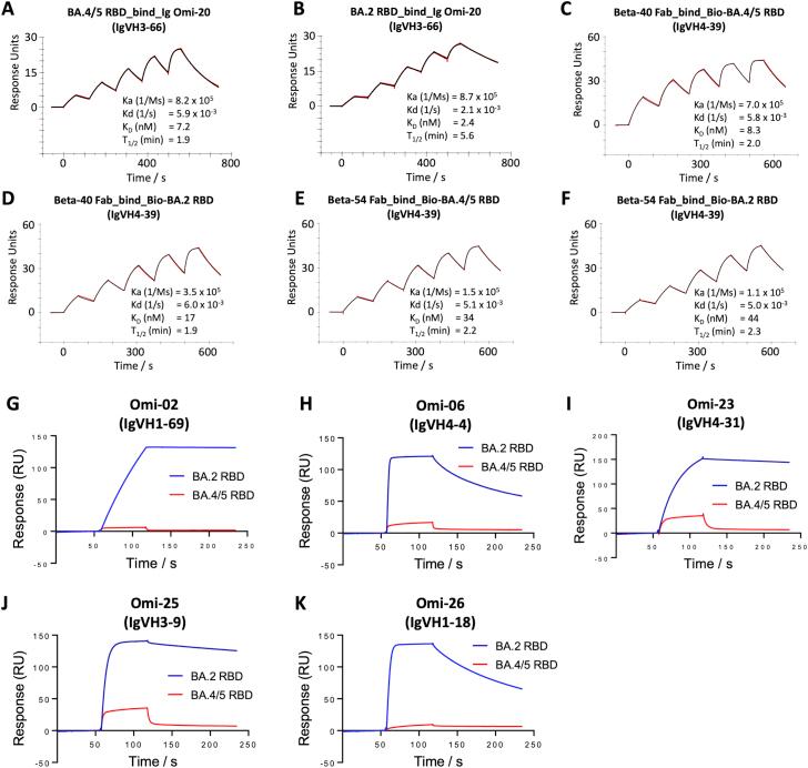 https://cdn.ncbi.nlm.nih.gov/pmc/blobs/d9da/9608062/4d525db391a7/figs3.jpg