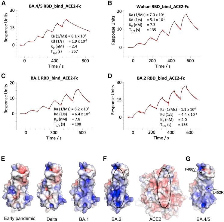 https://cdn.ncbi.nlm.nih.gov/pmc/blobs/d9da/9608062/68e61f69bc4d/gr6.jpg
