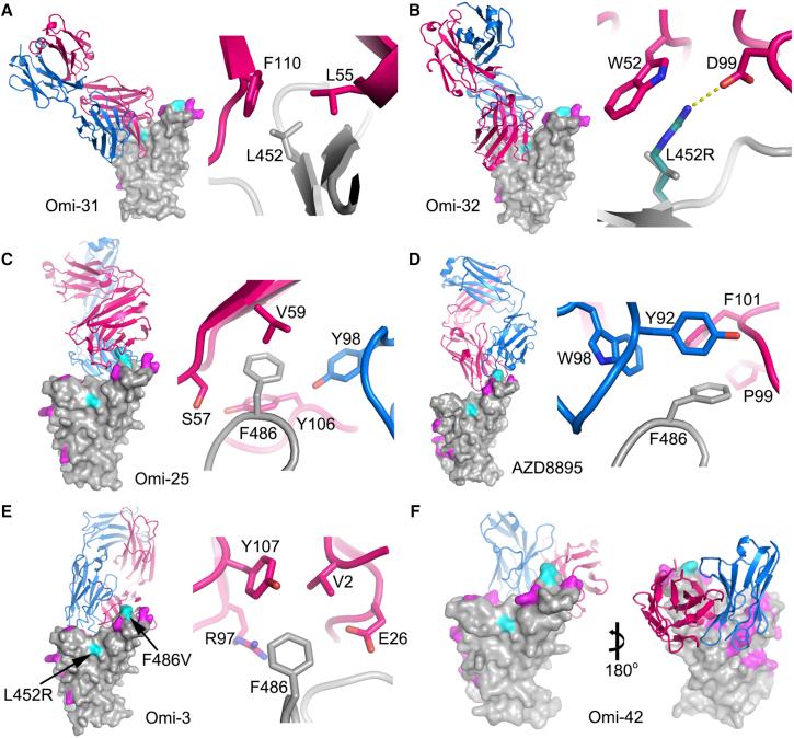https://cdn.ncbi.nlm.nih.gov/pmc/blobs/d9da/9608062/e4859c16f75f/gr5.jpg
