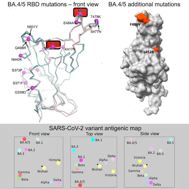 https://cdn.ncbi.nlm.nih.gov/pmc/blobs/d9da/9608062/ea420c3f4fdc/fx1.jpg