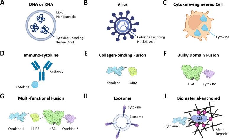 https://cdn.ncbi.nlm.nih.gov/pmc/blobs/d9db/11381304/e2c0792acbe6/fonc-14-1456658-g001.jpg