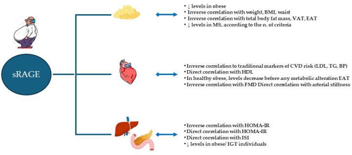 https://cdn.ncbi.nlm.nih.gov/pmc/blobs/d9dd/12028226/4c2d7d15cd50/ijms-26-03707-g001.jpg