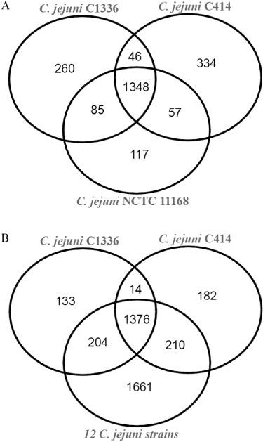https://cdn.ncbi.nlm.nih.gov/pmc/blobs/d9e2/3569610/1ccadbd58eb3/emi0013-1549-f3.jpg