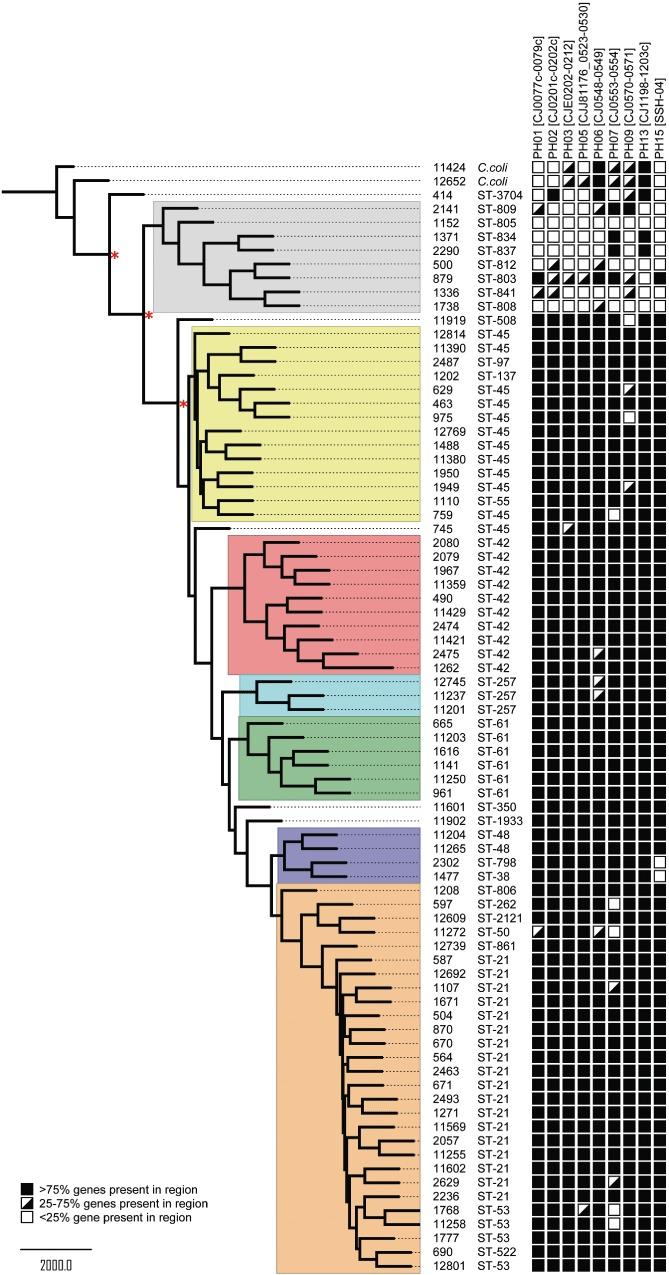 https://cdn.ncbi.nlm.nih.gov/pmc/blobs/d9e2/3569610/bae72743d927/emi0013-1549-f1.jpg