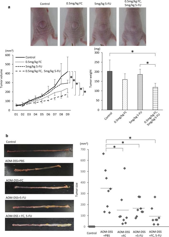https://cdn.ncbi.nlm.nih.gov/pmc/blobs/d9e2/7789586/28b3f555b7a7/12935_2020_1723_Fig4_HTML.jpg