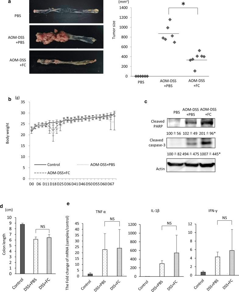 https://cdn.ncbi.nlm.nih.gov/pmc/blobs/d9e2/7789586/b3d12225659a/12935_2020_1723_Fig2_HTML.jpg