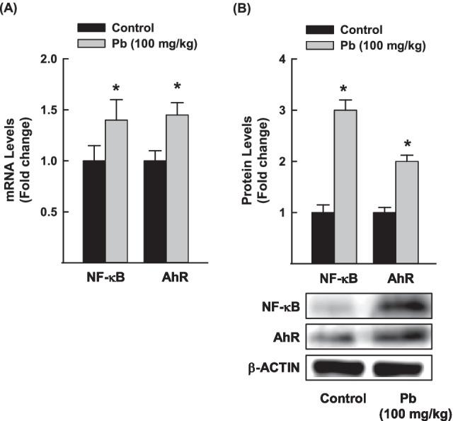 https://cdn.ncbi.nlm.nih.gov/pmc/blobs/d9e2/9481511/950d4bbc837b/11356_2022_19980_Fig4_HTML.jpg