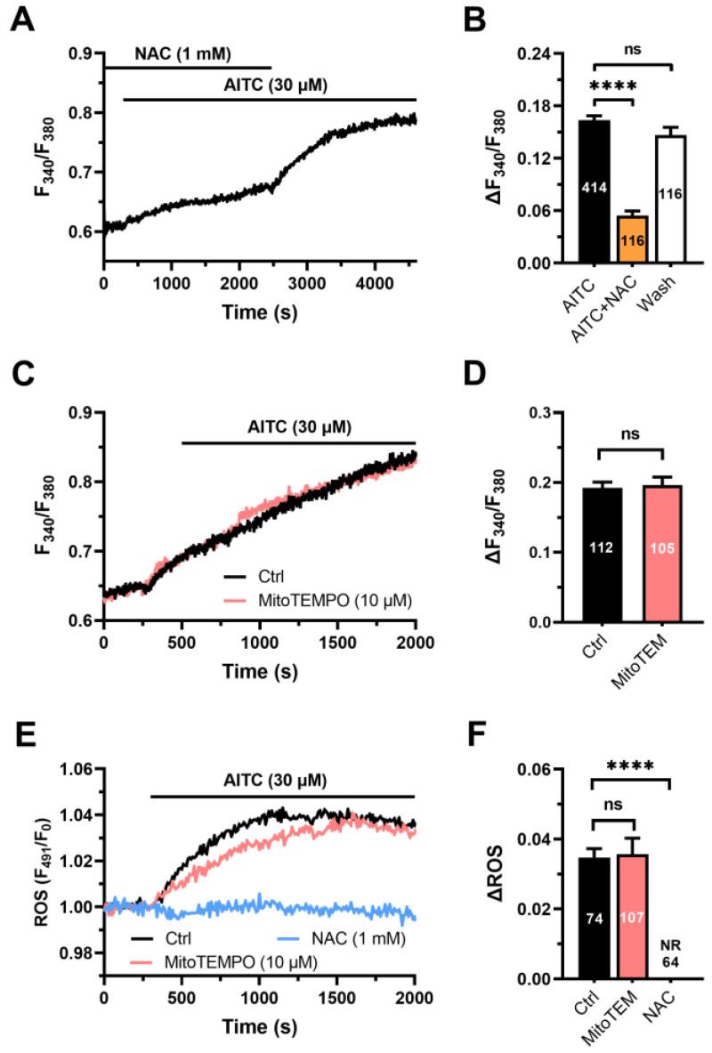https://cdn.ncbi.nlm.nih.gov/pmc/blobs/d9e7/10340171/382589c70b77/cells-12-01732-g003.jpg