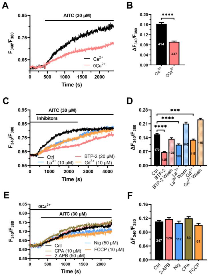 https://cdn.ncbi.nlm.nih.gov/pmc/blobs/d9e7/10340171/5eb6e36ccdf4/cells-12-01732-g004.jpg