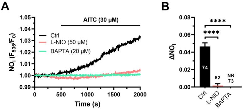 https://cdn.ncbi.nlm.nih.gov/pmc/blobs/d9e7/10340171/e4ad760cd6dc/cells-12-01732-g001.jpg