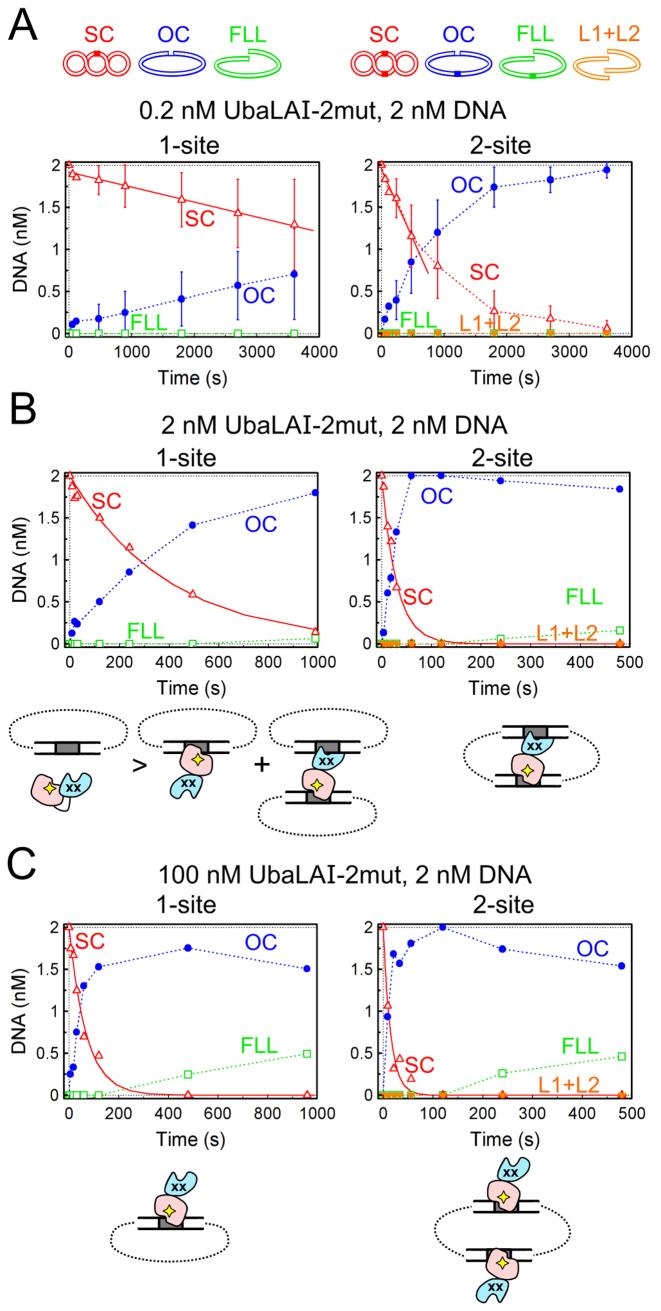 https://cdn.ncbi.nlm.nih.gov/pmc/blobs/d9e7/5766183/400ad6a46c8e/gkx634fig6.jpg