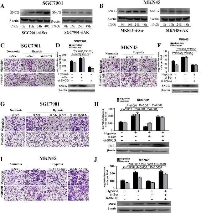 https://cdn.ncbi.nlm.nih.gov/pmc/blobs/d9e9/4309257/05b338d5e683/gr7.jpg