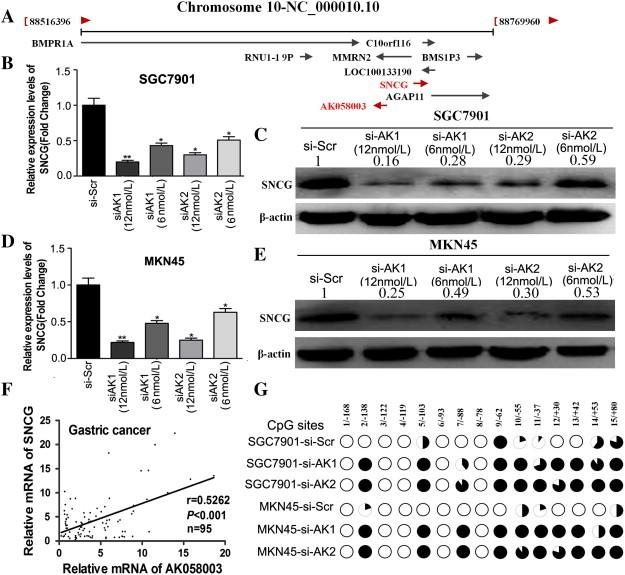 https://cdn.ncbi.nlm.nih.gov/pmc/blobs/d9e9/4309257/0a718ed1ff05/gr5.jpg
