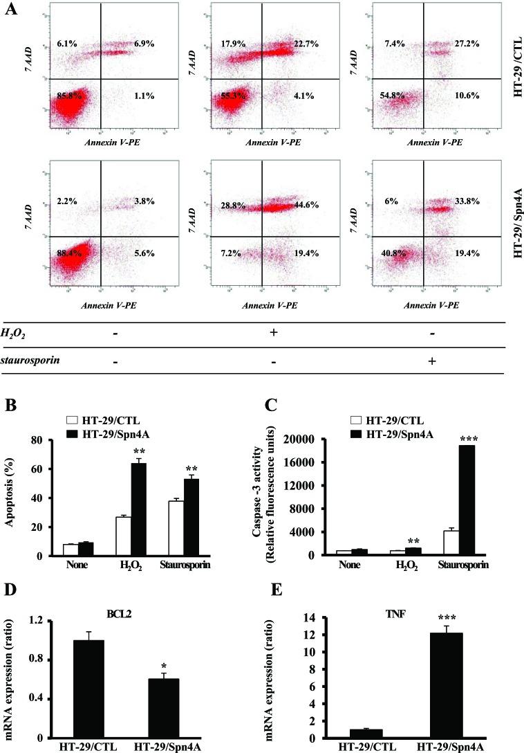https://cdn.ncbi.nlm.nih.gov/pmc/blobs/d9ea/4147316/d5f653a5cea1/oncotarget-05-4195-g004.jpg