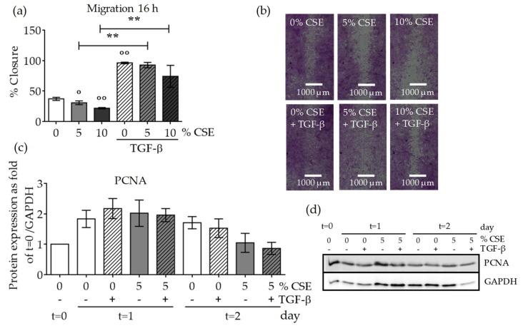 https://cdn.ncbi.nlm.nih.gov/pmc/blobs/d9ec/6628373/923610e403ea/ijms-20-02915-g005.jpg