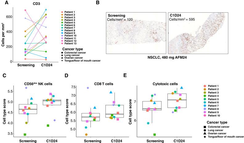 https://cdn.ncbi.nlm.nih.gov/pmc/blobs/d9ed/11964176/23a4020597fa/ccr-24-1991_f3.jpg