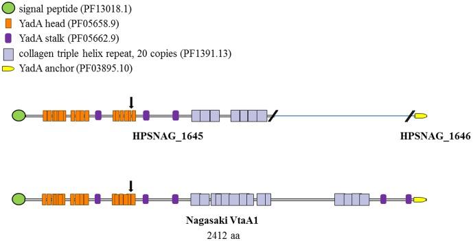 https://cdn.ncbi.nlm.nih.gov/pmc/blobs/d9f0/4138102/767bfcaebc18/pone.0103787.g004.jpg