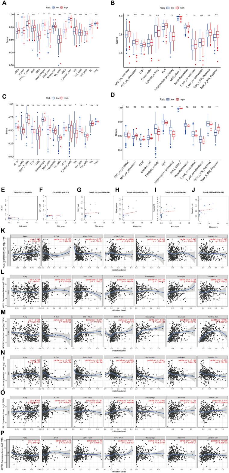 https://cdn.ncbi.nlm.nih.gov/pmc/blobs/d9f1/10883968/952b97ff8387/41598_2024_53515_Fig6_HTML.jpg