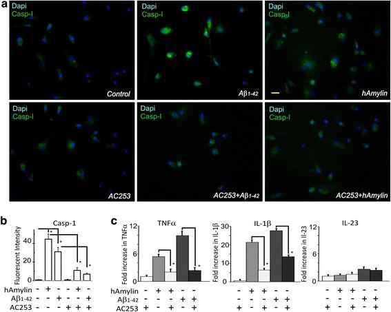 https://cdn.ncbi.nlm.nih.gov/pmc/blobs/d9f1/5639602/05a741856fa4/12974_2017_972_Fig4_HTML.jpg