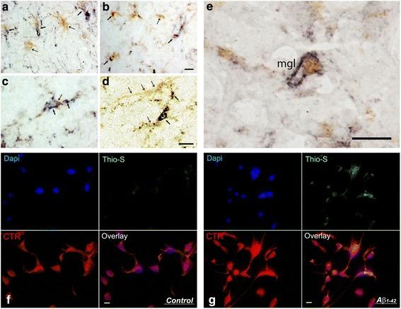 https://cdn.ncbi.nlm.nih.gov/pmc/blobs/d9f1/5639602/4107a86d9a1b/12974_2017_972_Fig2_HTML.jpg