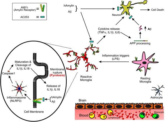 https://cdn.ncbi.nlm.nih.gov/pmc/blobs/d9f1/5639602/49baf0516475/12974_2017_972_Fig6_HTML.jpg